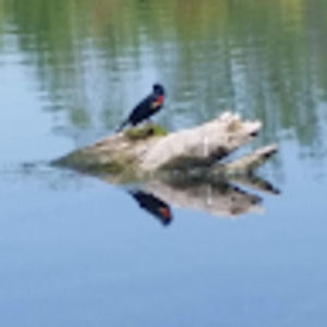 Meet your Posher, Jenny